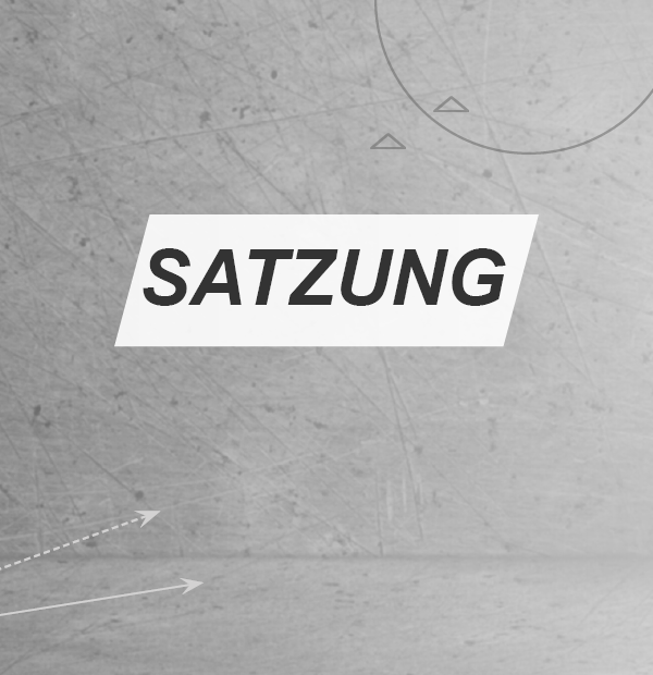 Satzung des BDFL