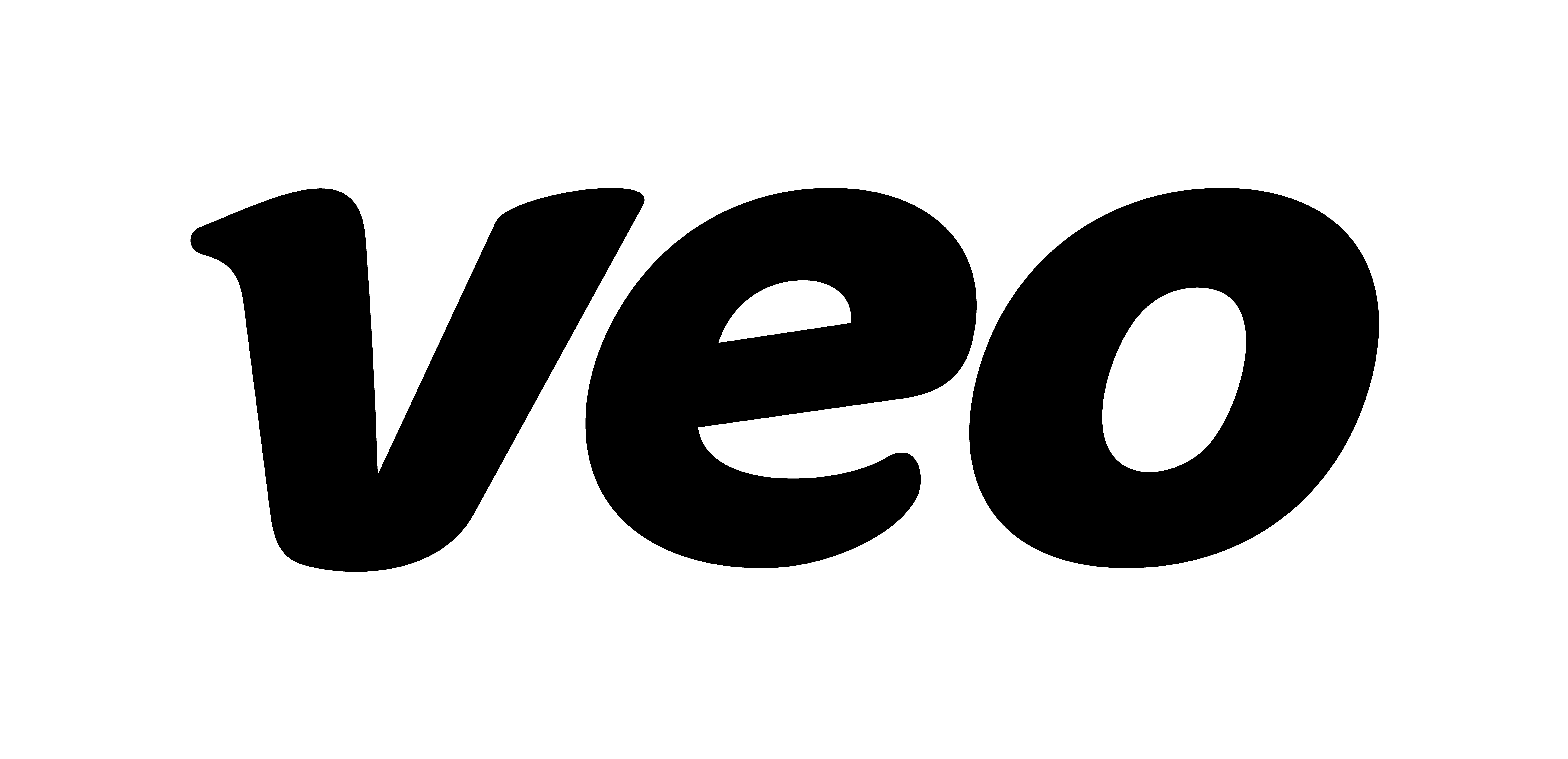 Veo - Partner