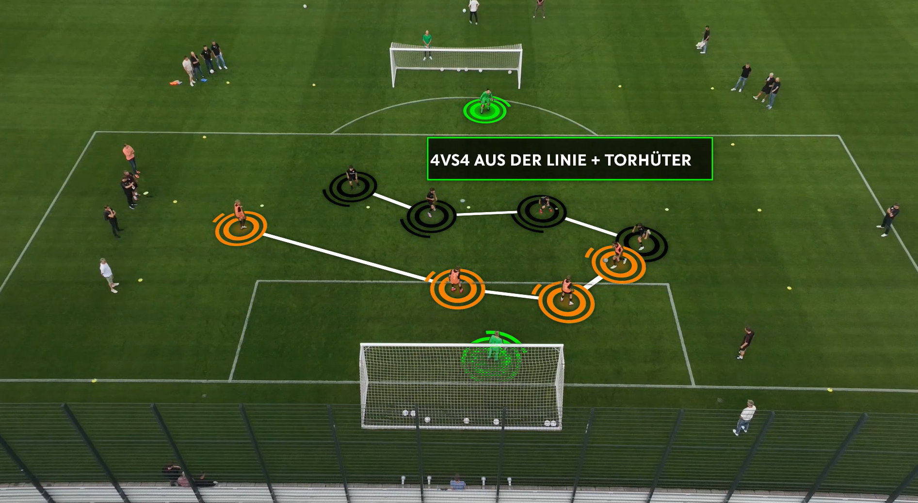 Das BDFL-Wissensnetz: Experten-Inhalte auf Abruf!