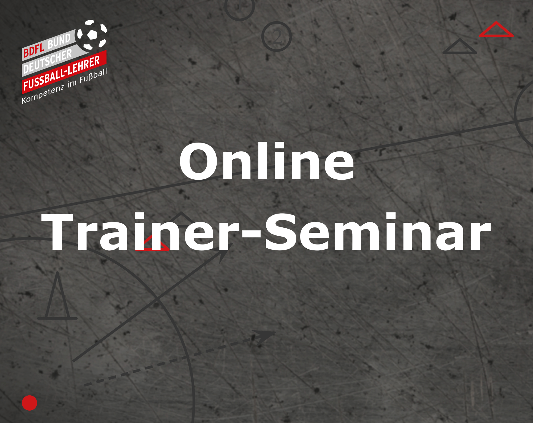Online Trainer-Seminar